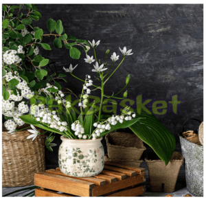 This Old-Looking Ceramic Pot Somehow Pulls Every Room Together - Here's Why I Keep Buying It as a Gift